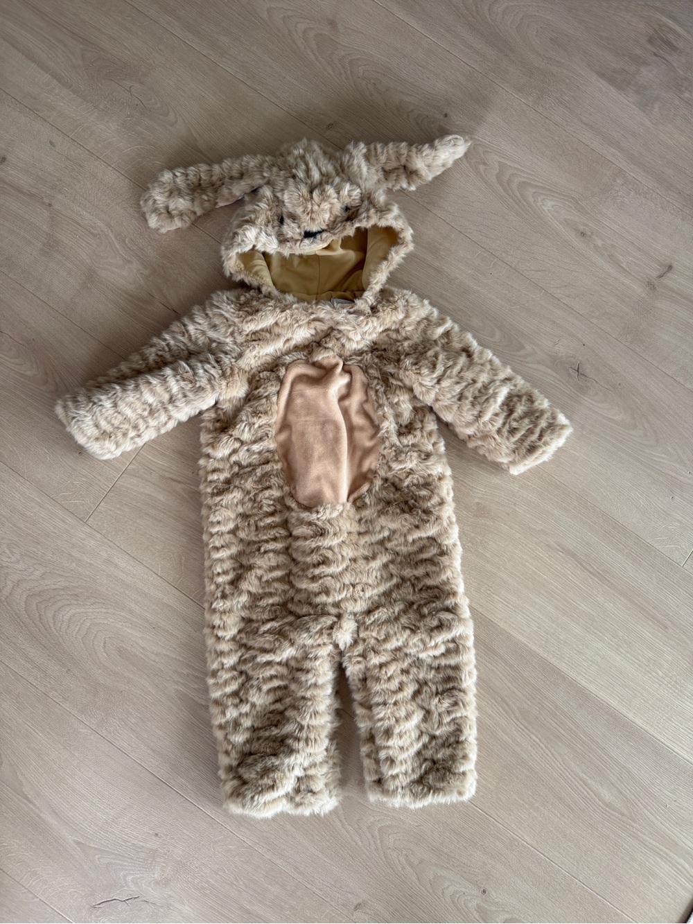 Pottery Barn Kids Dog Costume
